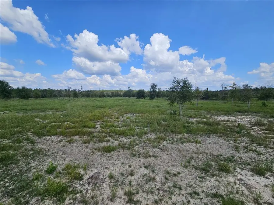 7 Marcantel Road, Dequincy, LA 70633 - Image #2