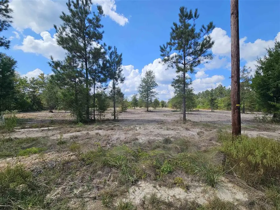 7 Marcantel Road, Dequincy, LA 70633 - Image #3