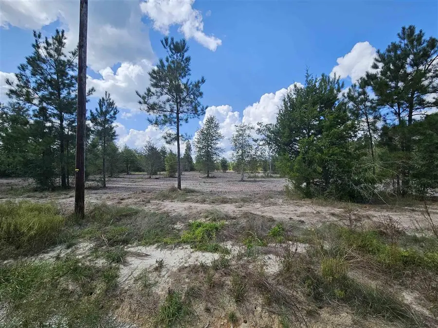 8 Marcantel Road, Dequincy, LA 70633 - Image #2