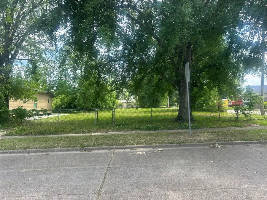 1502 Iowa Street, Lake Charles, LA 70601 - #3