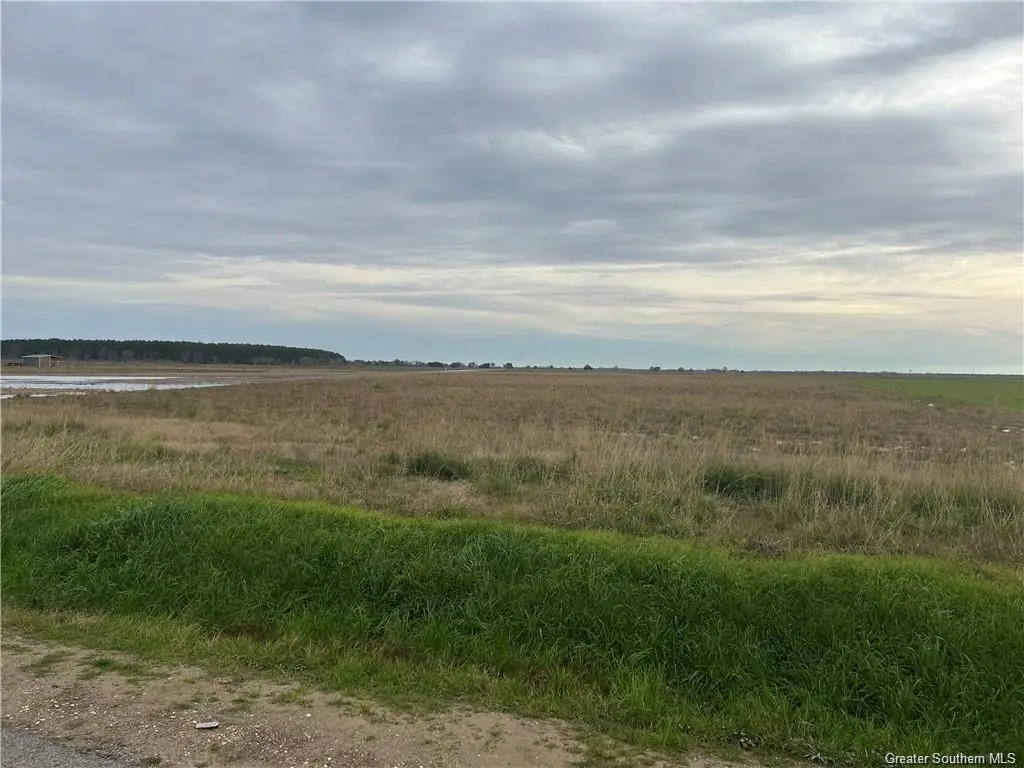 0 Blanchard Road, Welsh, LA  - Image #1