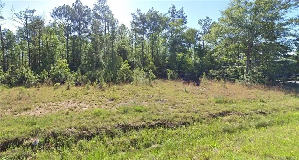0 Newt Hodges Road #Lot 10, Ragley, LA 70657 - Image #1