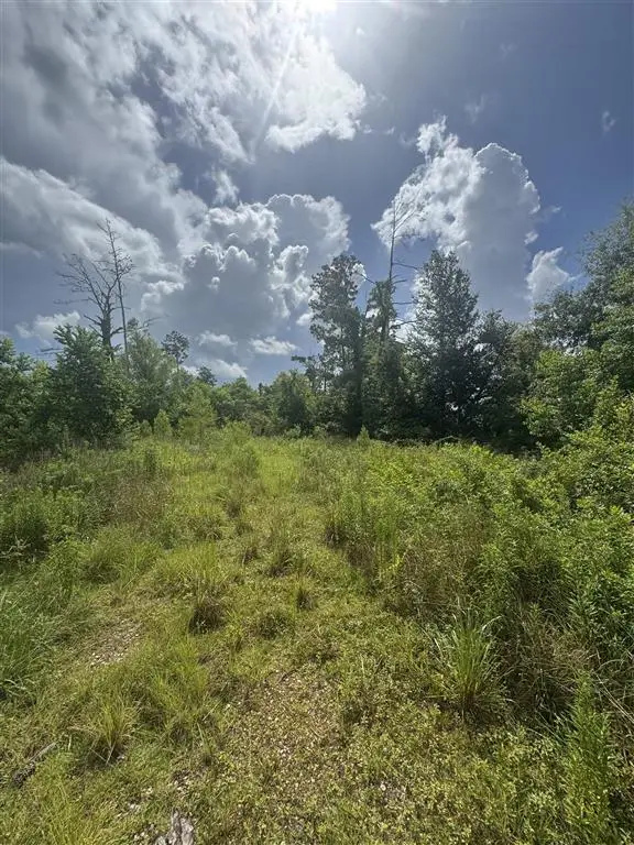 3740 & 3822 Dunn Ferry Road, Lake Charles, LA 70611 - Image #1