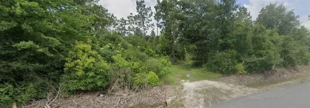 Simon Lebleu Road, Lake Charles, LA  - Image #1