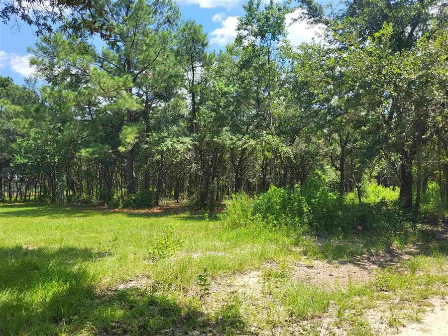 5944 River Road, Lake Charles, LA 70615 - Image #2