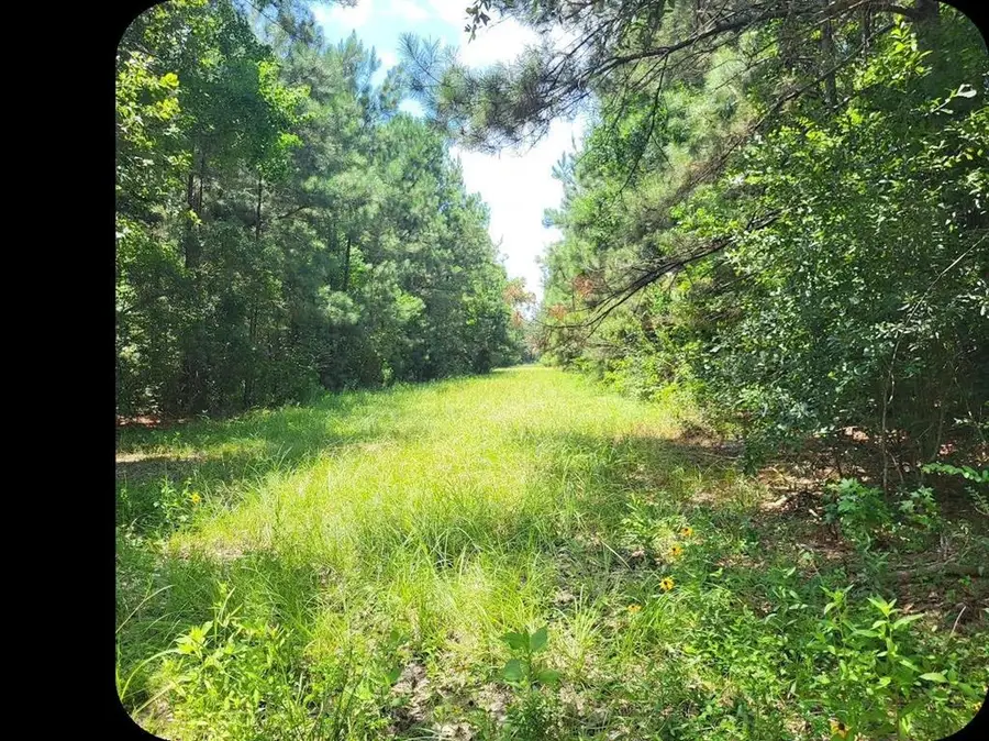 5944 River Road, Lake Charles, LA 70615 - Image #3