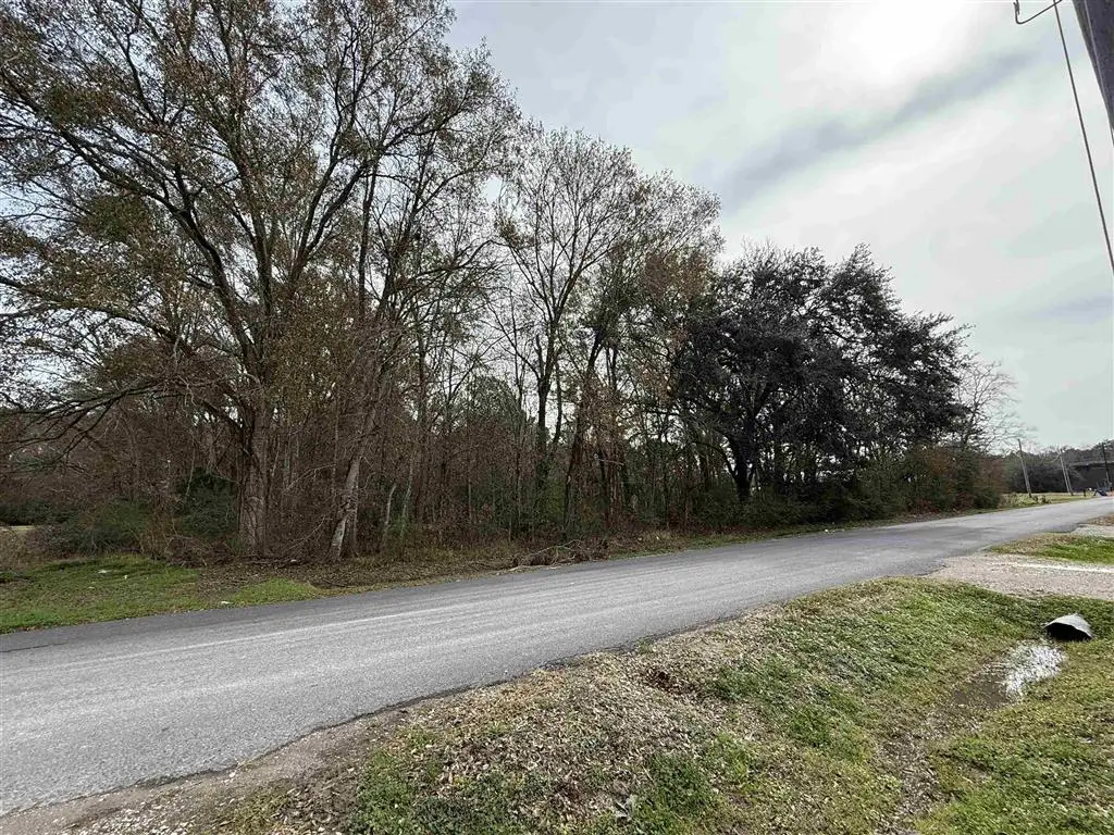 1320 Myers Road, Jennings, LA  - #1