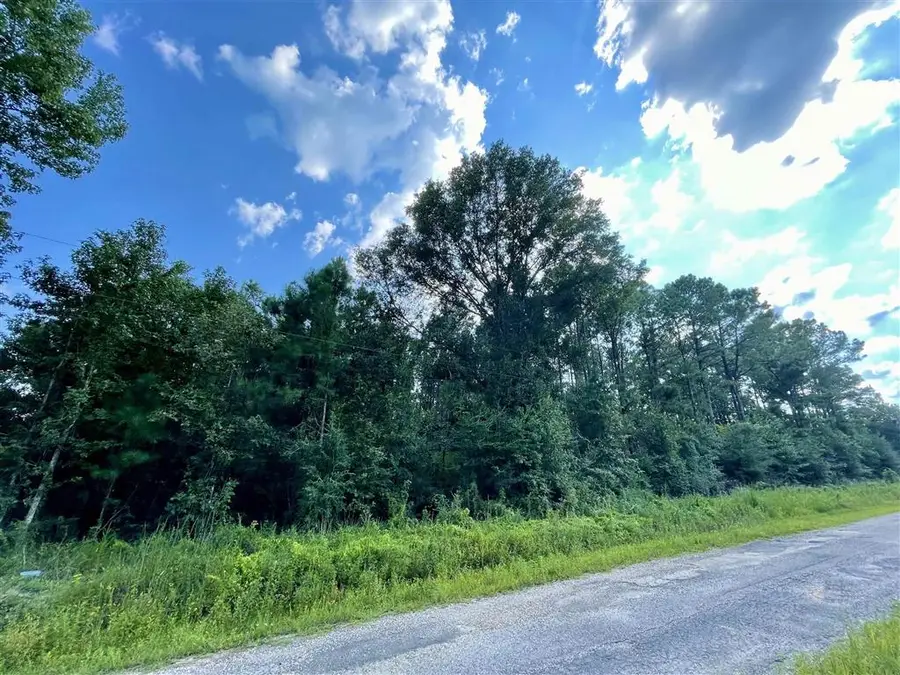 0 Ernie Cole Road, Ragley, LA 70657 - Image #3