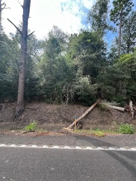 0 Mark Lebleu Road, Iowa, LA  - Image #1