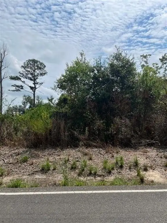 0 Ledoux Road, Iowa, LA 70647