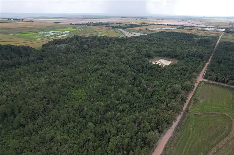 TBD Leonard Road, Elton, LA 70532 - Image #3