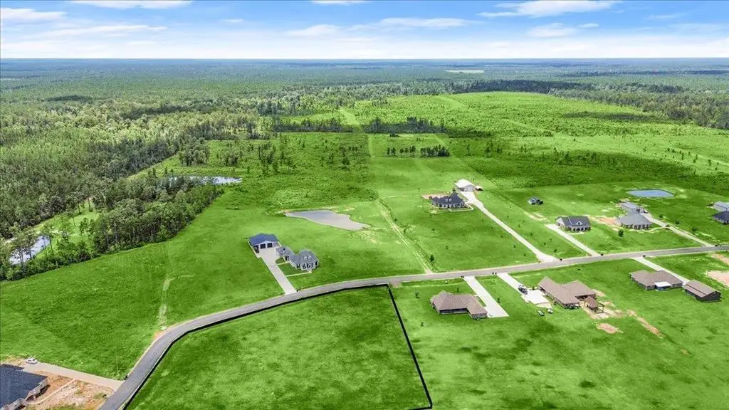 Lot 20 Kayleigh Dr Drive, Longville, LA 70652 - Image #1