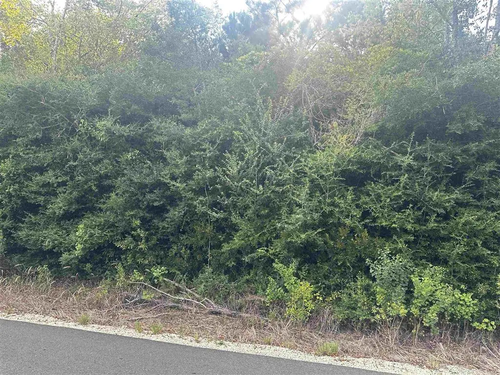 TBD Hauser, Deridder, LA 70634 - Image #1