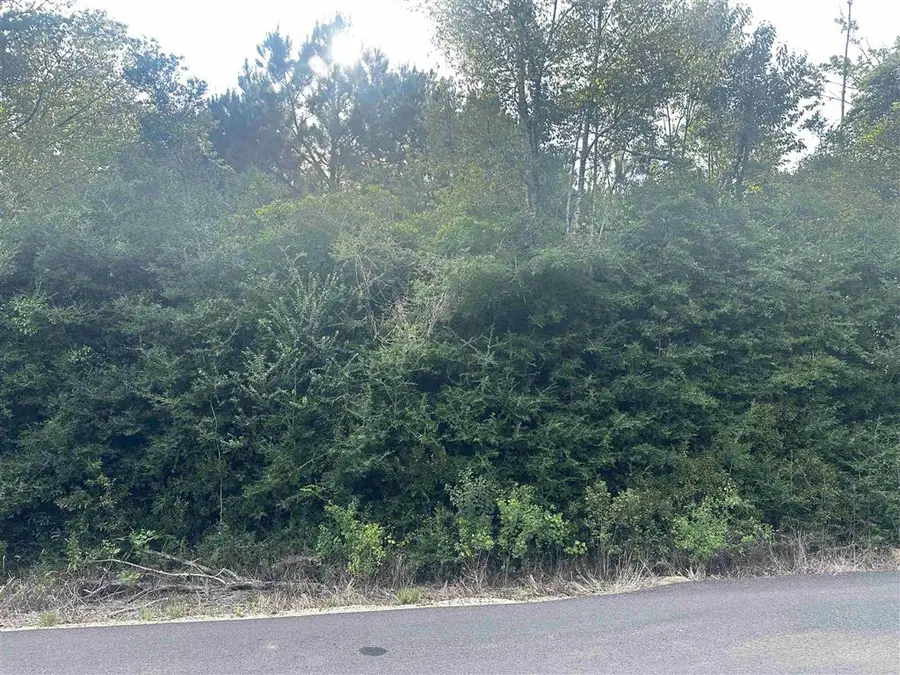 TBD Hauser, Deridder, LA 70634 - Image #2