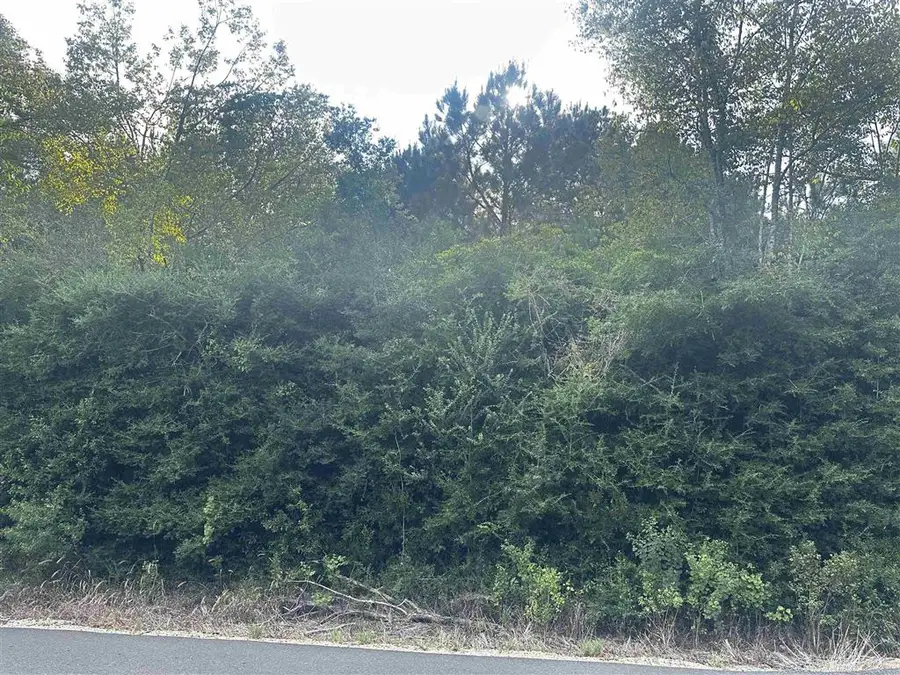 TBD Hauser, Deridder, LA 70634 - Image #3