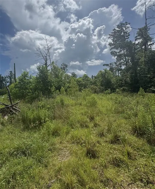 3740 & 3822 Dunn Ferry Road, Lake Charles, LA 70611 - #2