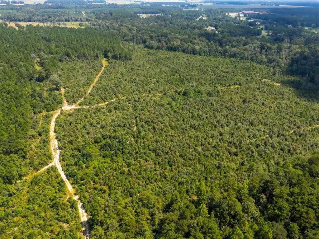 0 Paul Mcmillian Road, Deridder, LA 70634 - Image #1