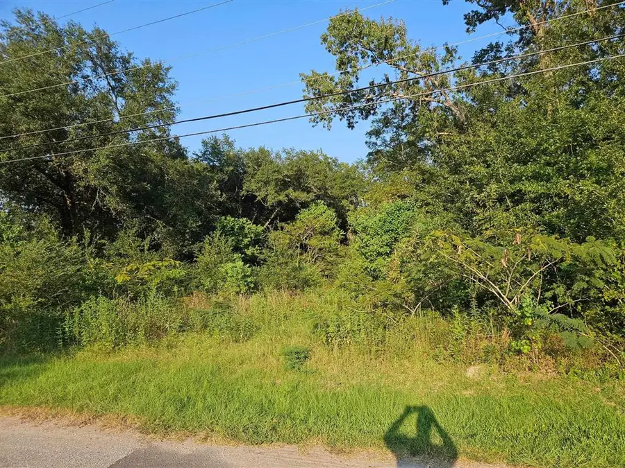 808 Oak Street, Dequincy, LA 70633 - Image #3