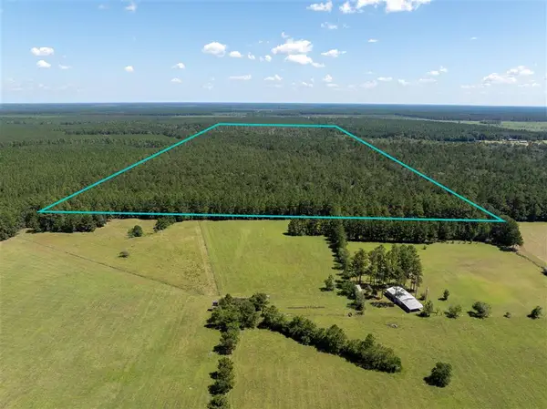 Beehive Loop, Singer, LA 70660