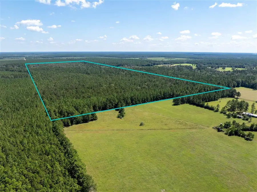 Beehive Loop, Singer, LA 70660 - Image #2