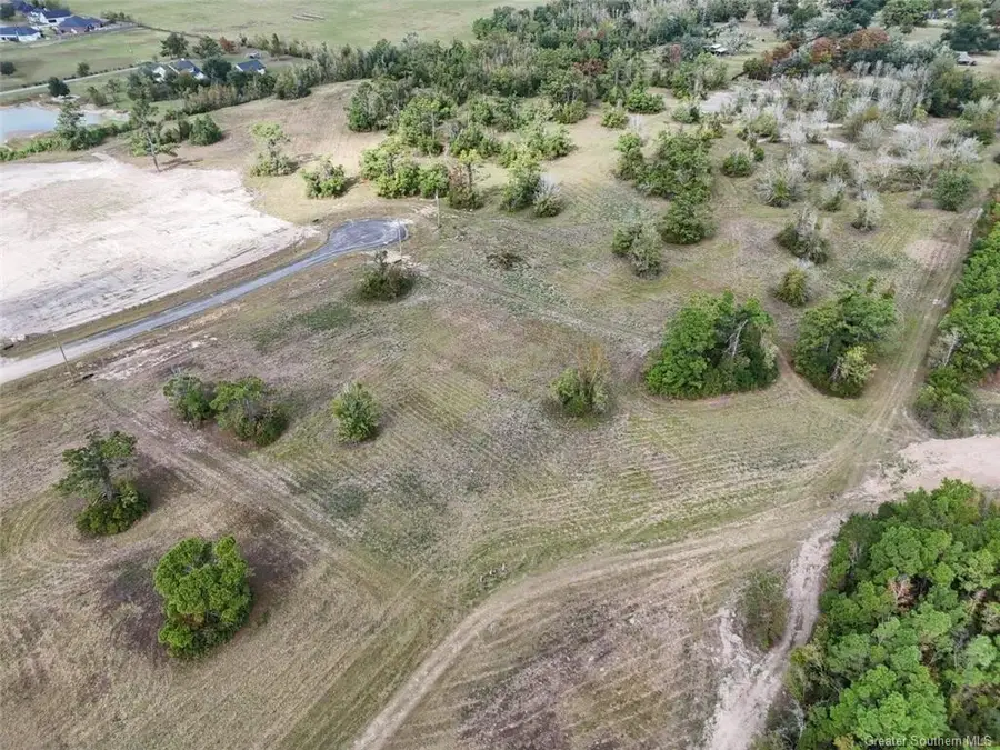 6843 Rue Des Amis Drive, Lake Charles, LA 70605 - #2