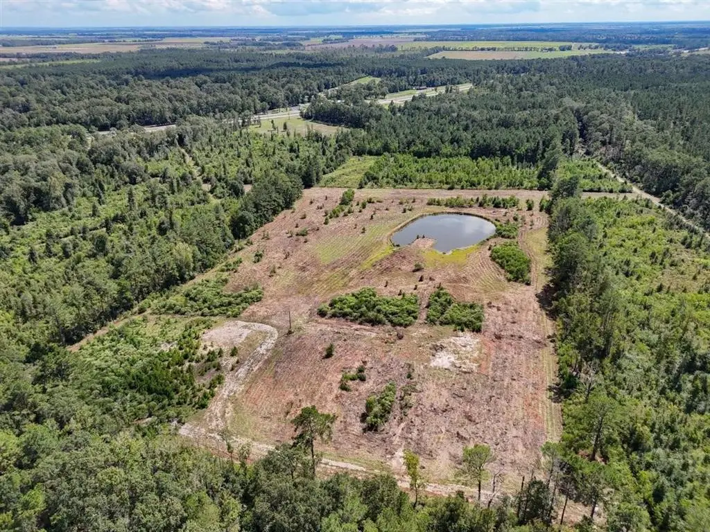 TBD Green Oak Cemetery Road, Kinder, LA 70648 - Image #1