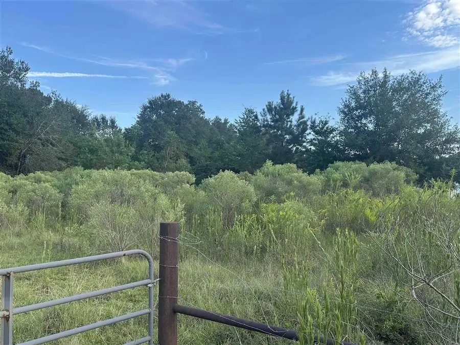 5816 Topsy Bel, Ragley, LA 70657 - Image #2