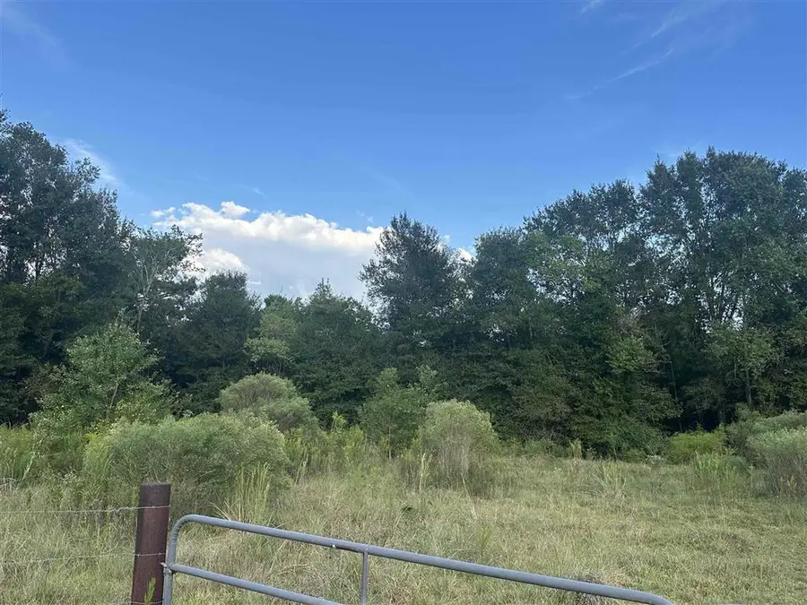 5816 Topsy Bel, Ragley, LA 70657 - Image #3