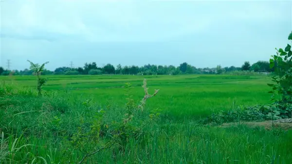 202 W Highway 90 W, Iowa, LA 70647