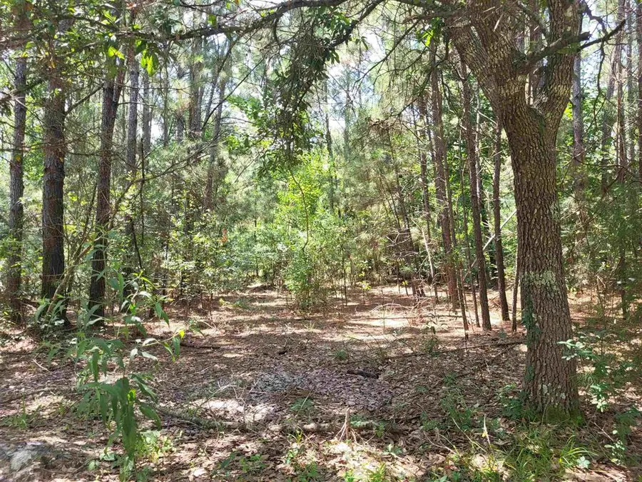 5944 River Road, Lake Charles, LA 70615 - #2