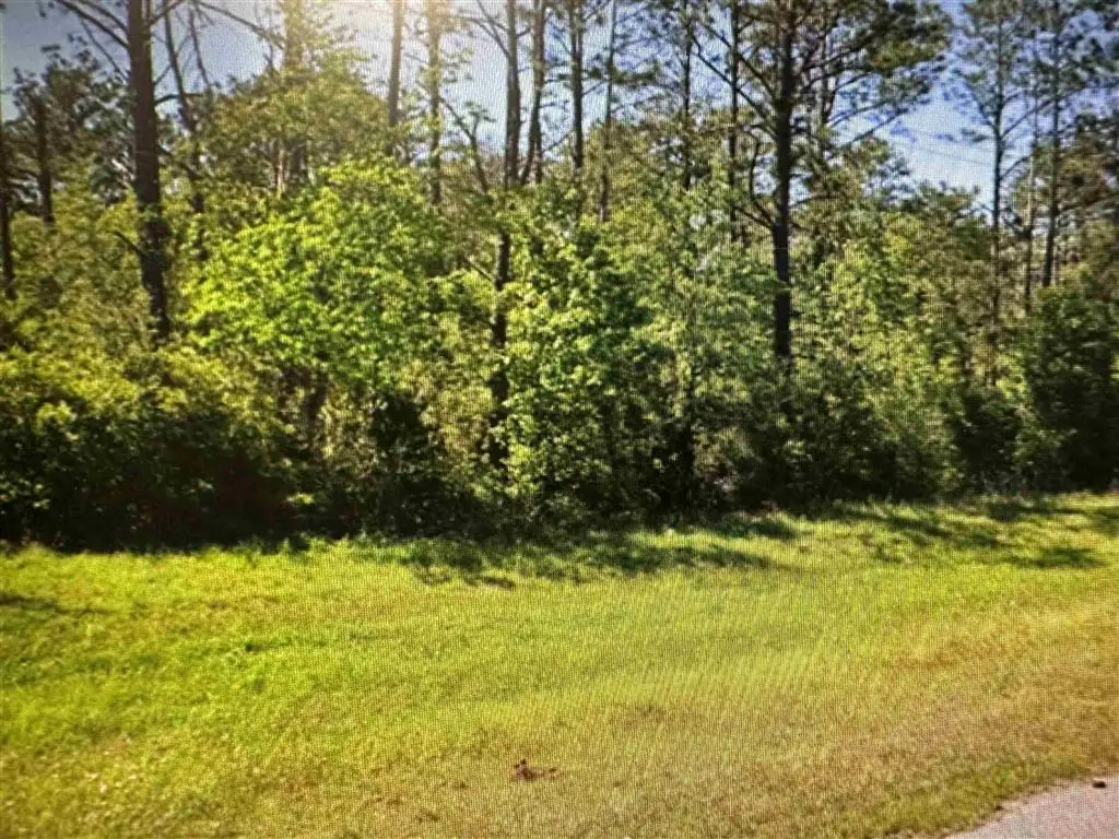 0 Highway 171 Highway, Lake Charles, LA 70611 - Image #1