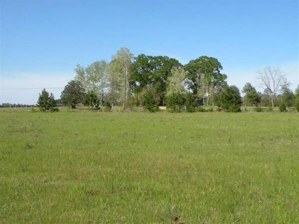 TBD Hwy 121, Hineston, LA 71438 - Image #1