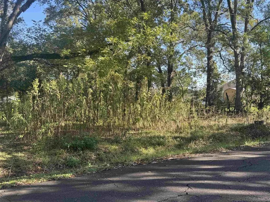 TBD Ulysses Street, Eunice, LA 70535 - Image #3