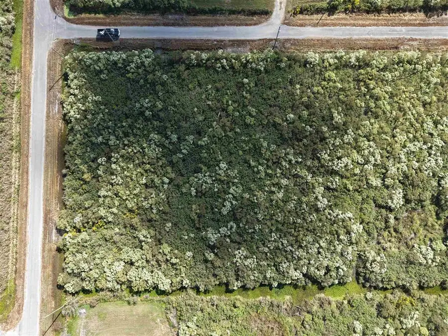 0 Jermey Lane, Creole, LA 70632 - Image #3