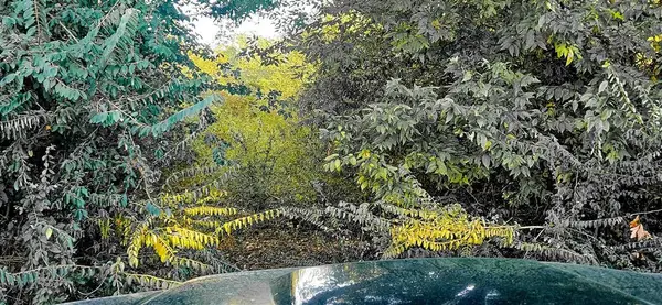 2007 Delta Downs Drive, Vinton, LA 70668