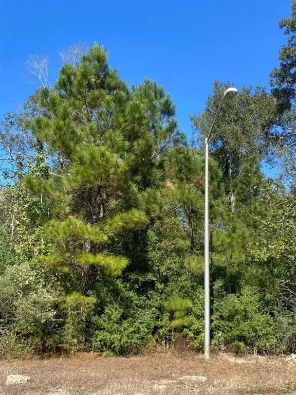 E Robinwood Drive, Moss Bluff, LA 70611 - #3