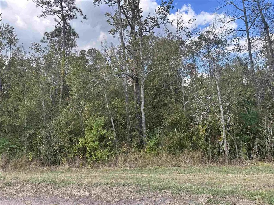 0 Mark Lebleu, Lake Charles, LA  - Image #2