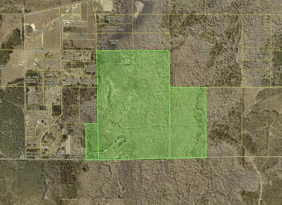 Pevoto Road, Starks, LA  - Image #3