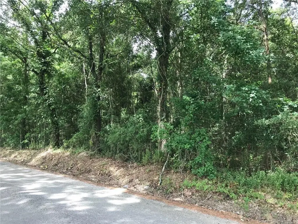 0 Martin Road, Kinder, LA 70648 - #1