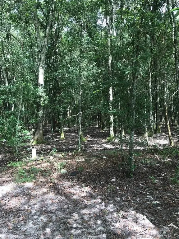 0 Martin Road, Kinder, LA 70648 - #3