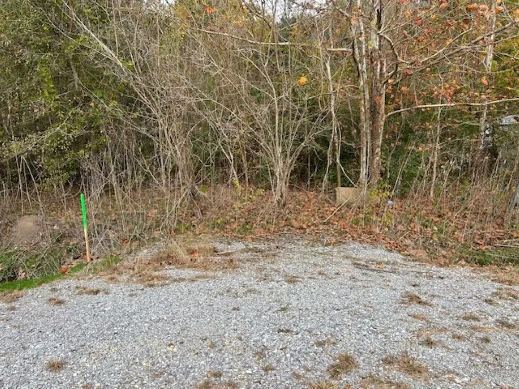 7828 Mississippi Avenue, Hayes, LA 70646 - Image #1