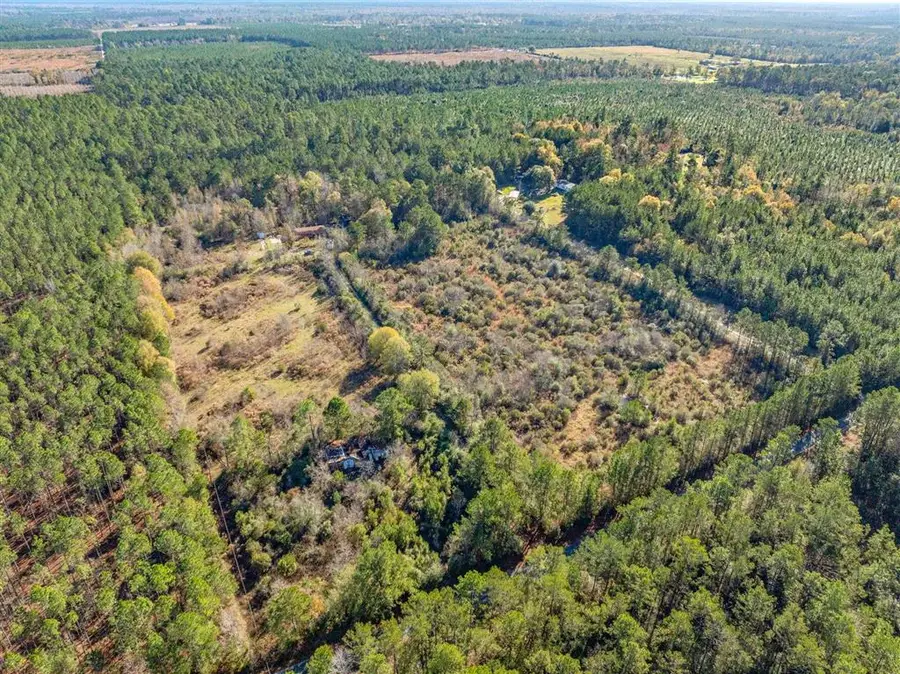 174 Calvin Foster Road, Starks, LA 70661 - Image #2