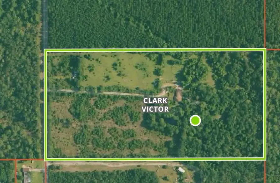 174 Calvin Foster Road, Starks, LA 70661 - Image #3