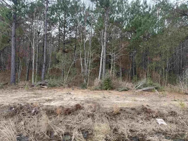 Hwy 383 Highway #Lot 5, Iowa, LA 70647