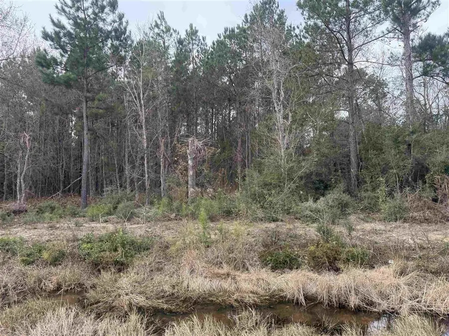 Hwy 383 Highway #Lot 6, Iowa, LA 70647 - Image #3