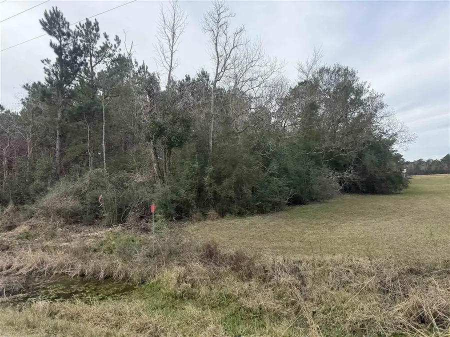 Hwy 383 Highway #Lot 12, Iowa, LA 70647 - Image #2