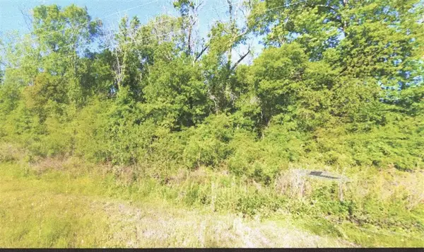 TBD Old Highway 90 Highway, Vinton, LA 70668