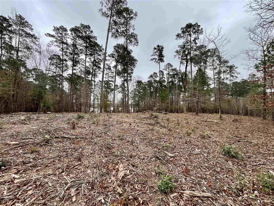 Lazy Point Trail, Many, LA 71449 - Image #2