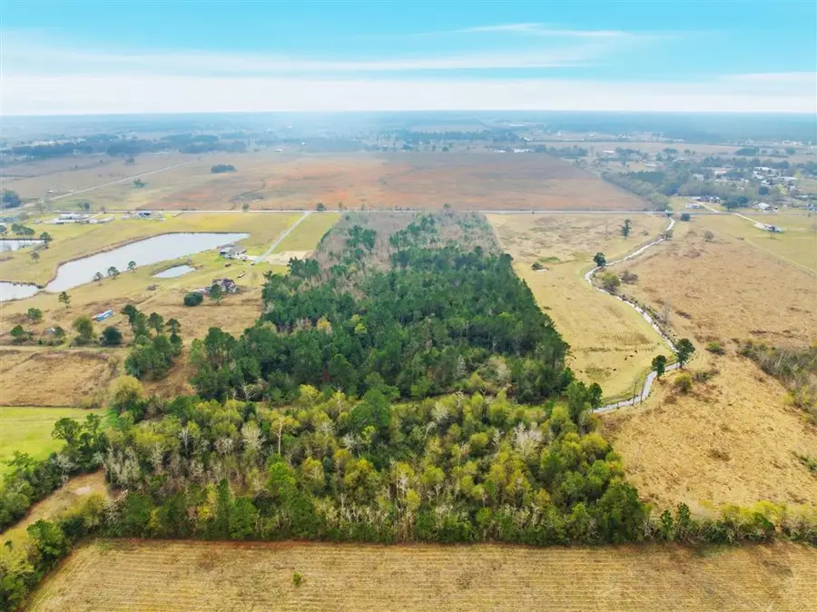 0 Dave Dugas Rd Road, Sulphur, LA 70663 - Image #3