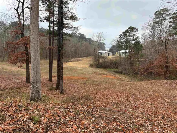 TBD Stoney Creek Drive, Many, LA 71449